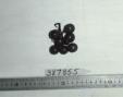 Click for 1 image(s) for this accession. FRUIT